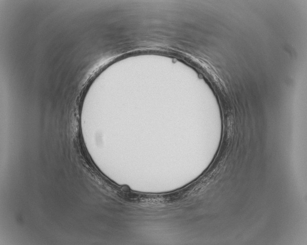 X0000115741363200912101305