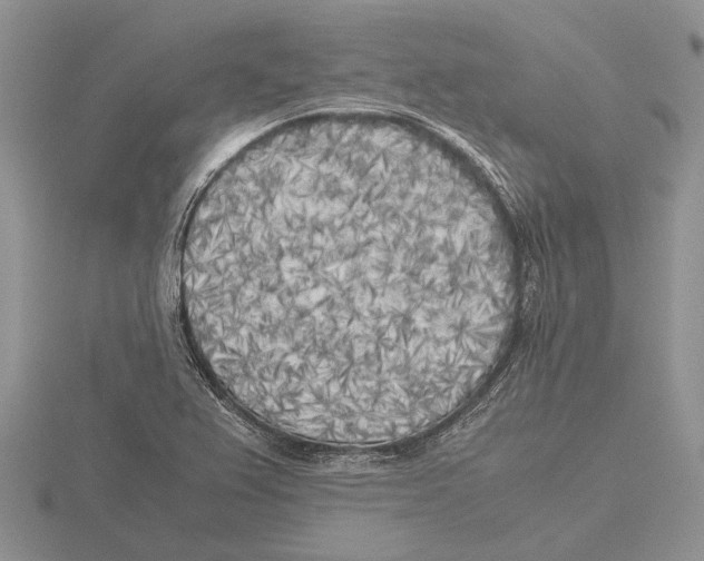 X0000115741367200912101305