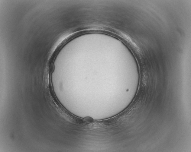 X0000115741368200912101305