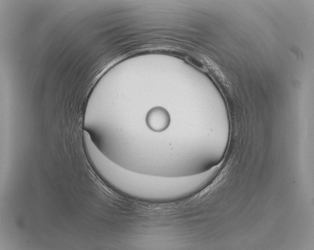 X0000115741369200912101305