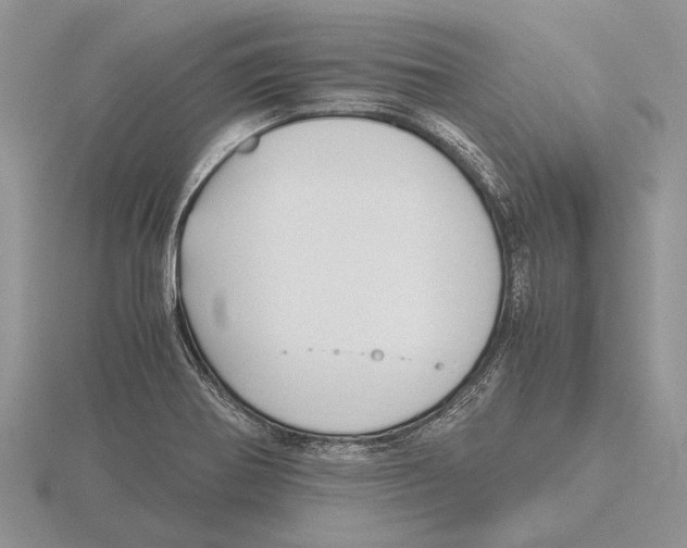 X0000115741370200912101305