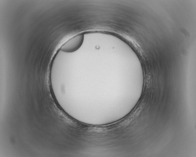 X0000115741374200912101305