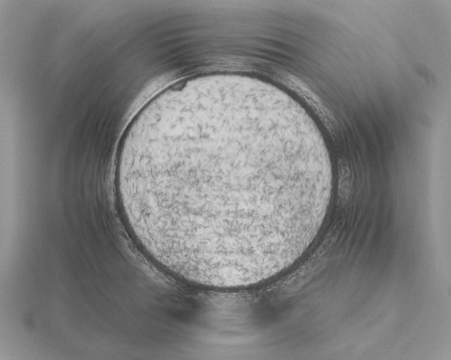 X0000115741378200912101305