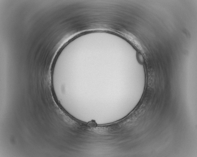 X0000115741380200912101305