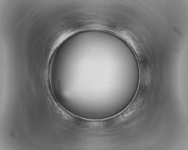 X0000115741381200912101305