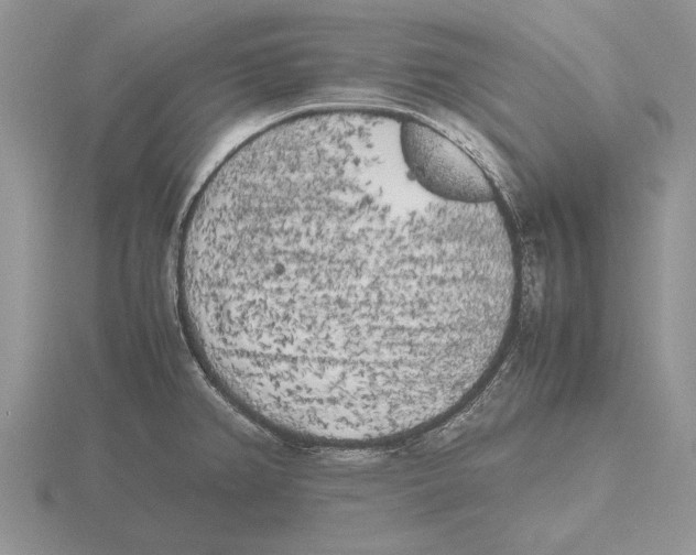 X0000115741382200912101305