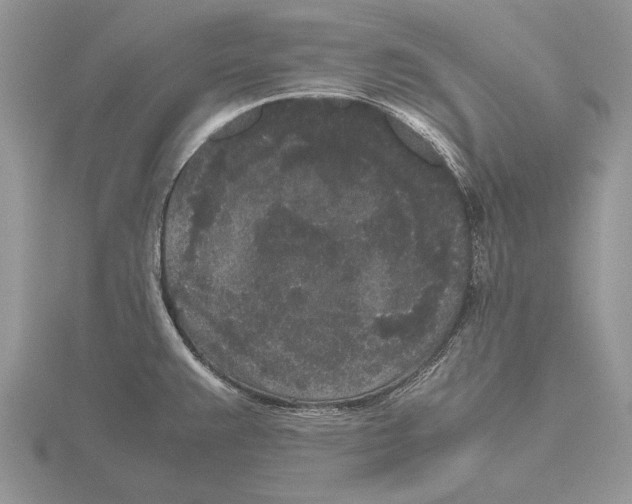 X0000115741383200912101305