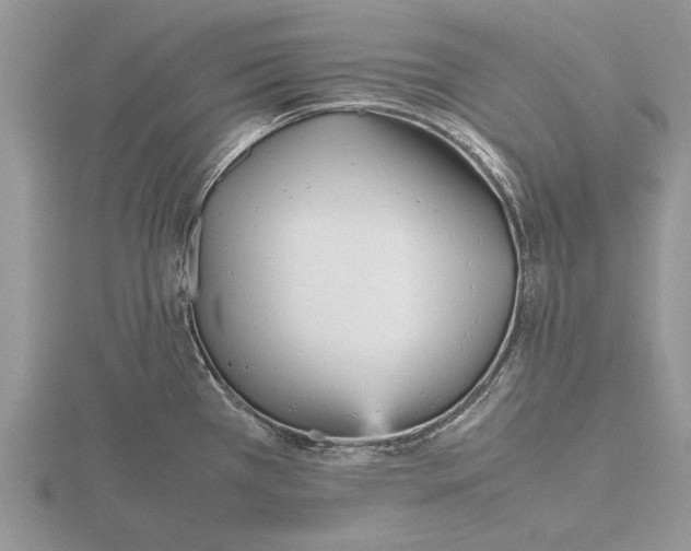 X0000115741385200912101305