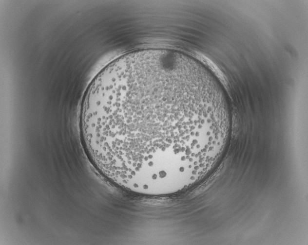 X0000115741386200912101305