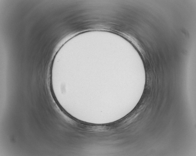 X0000115741387200912101305