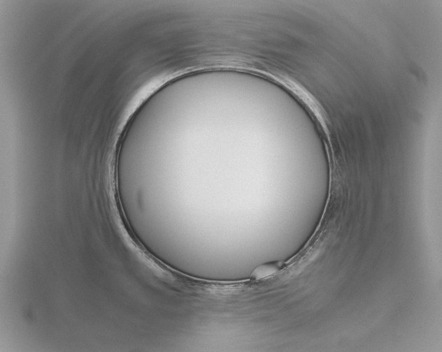 X0000115741389200912101305