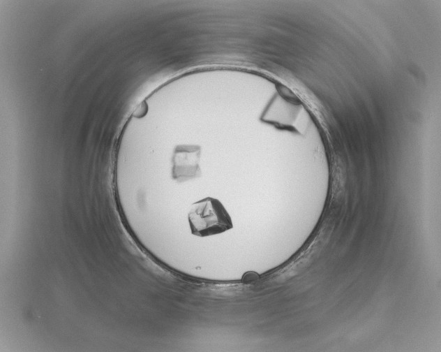 X0000115741390200912101305