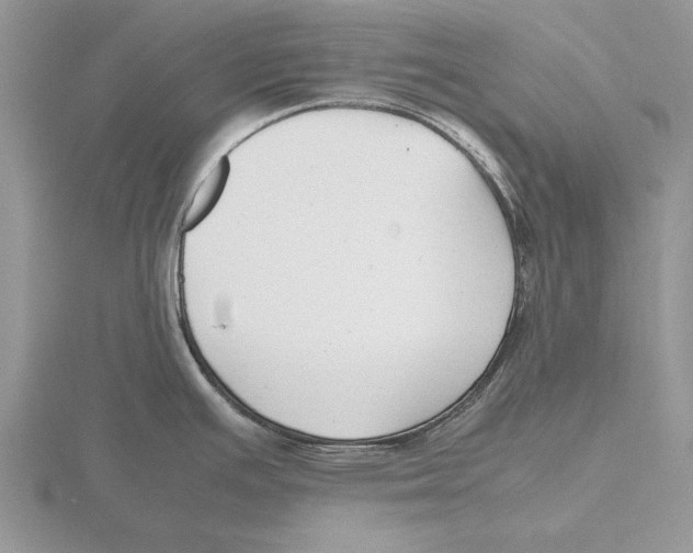 X0000115741391200912101305