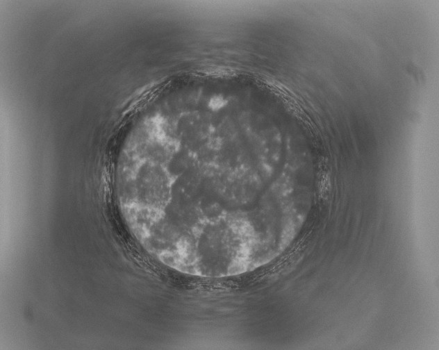 X0000115741397200912101304