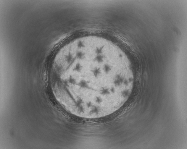 X0000115741398200912101304