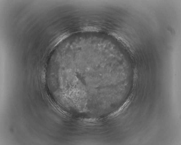 X0000115741401200912101304