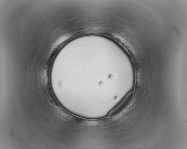 X0000115741402200912101304