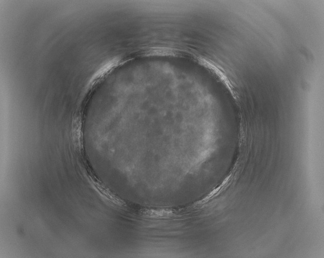 X0000115741403200912101304