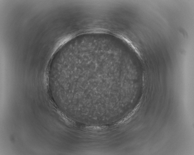 X0000115741405200912101304