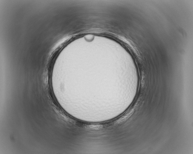 X0000115741406200912101304