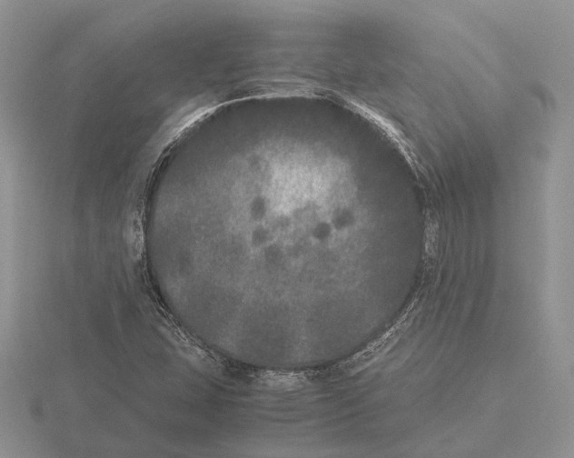 X0000115741407200912101304