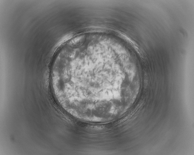 X0000115741411200912101304