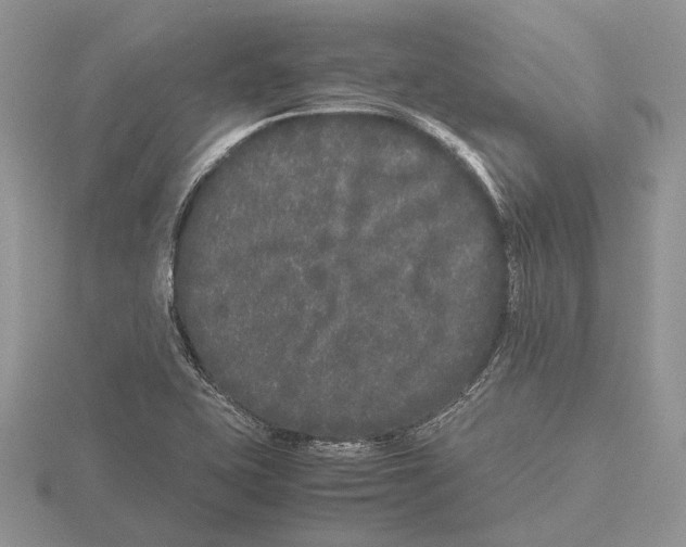 X0000115741415200912101304