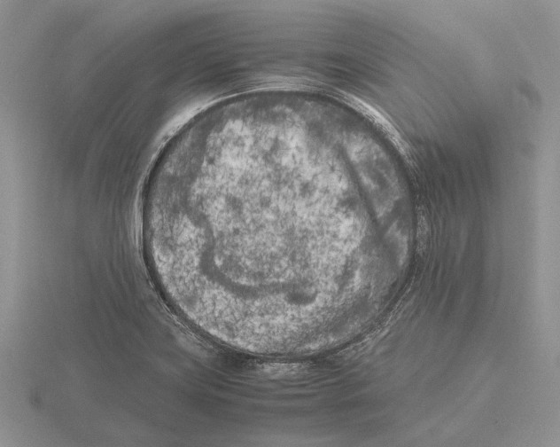 X0000115741419200912101304