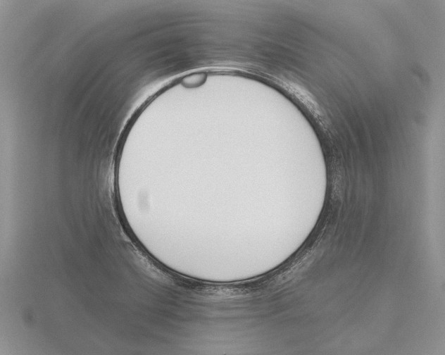 X0000115741420200912101304