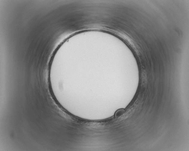 X0000115741424200912101305