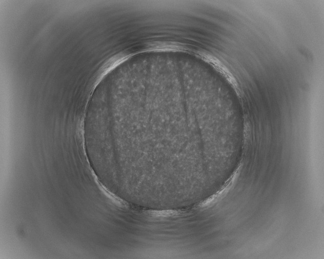 X0000115741425200912101305