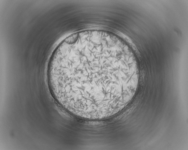 X0000115741427200912101305