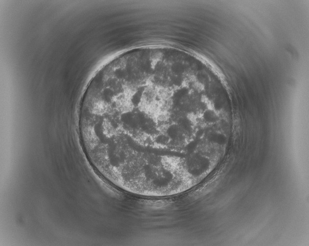 X0000115741429200912101305