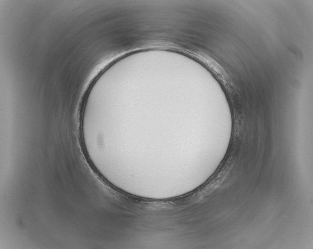 X0000115741430200912101305