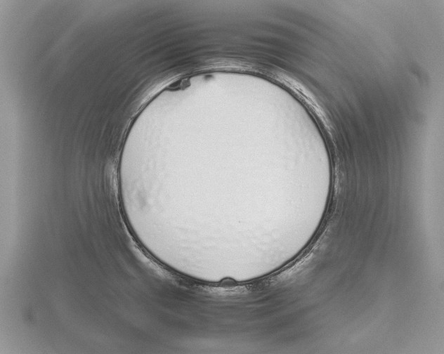 X0000115741433200912101305