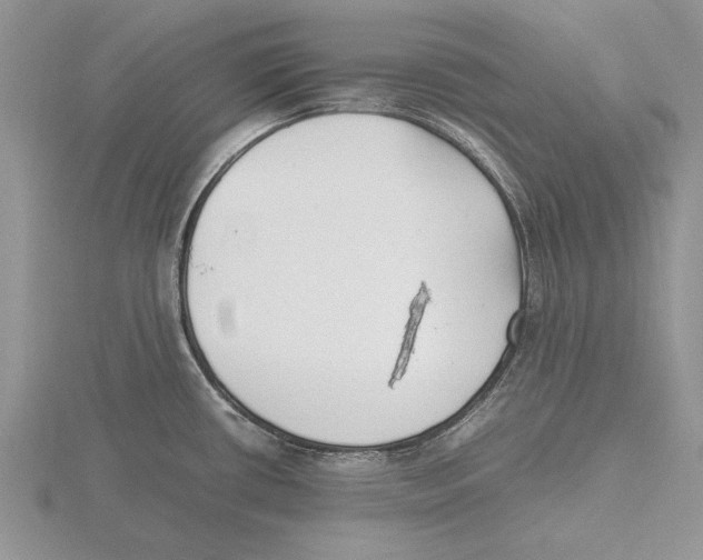 X0000115741434200912101305