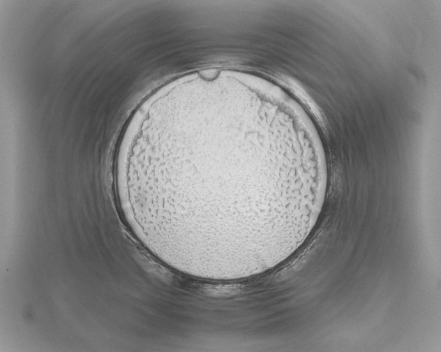 X0000115741435200912101305