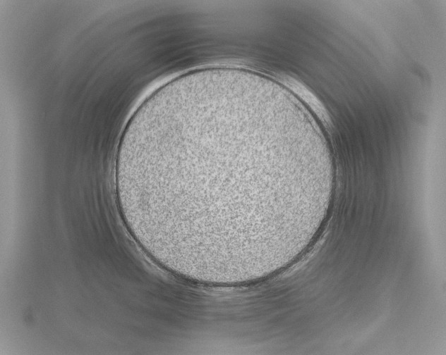 X0000115741436200912101305