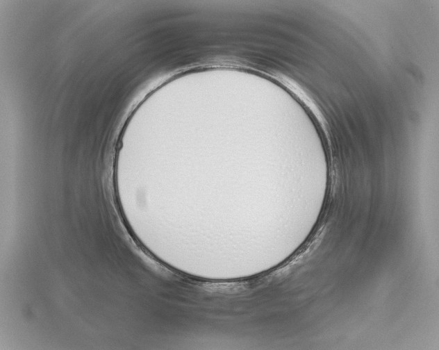 X0000115741437200912101305