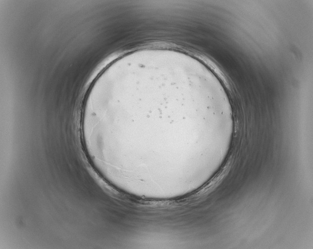 X0000115741438200912101305