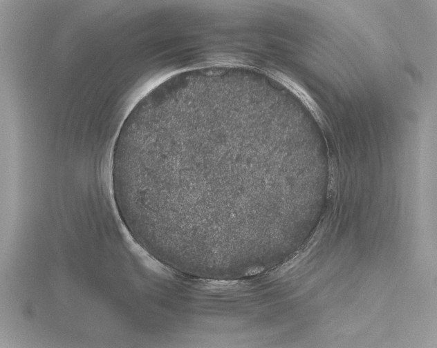 X0000115741439200912101305