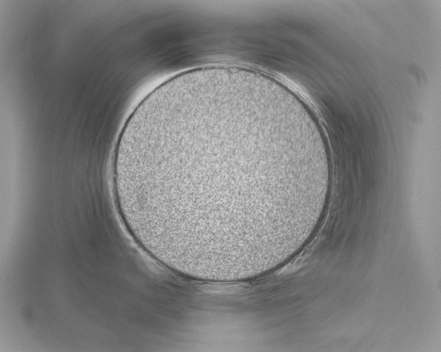 X0000115741440200912101305