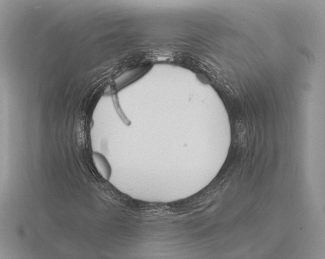 X0000115741442200912101304