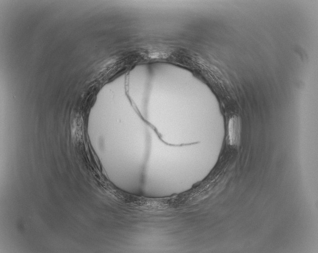 X0000115741443200912101304