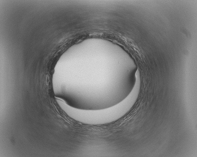 X0000115741445200912101304