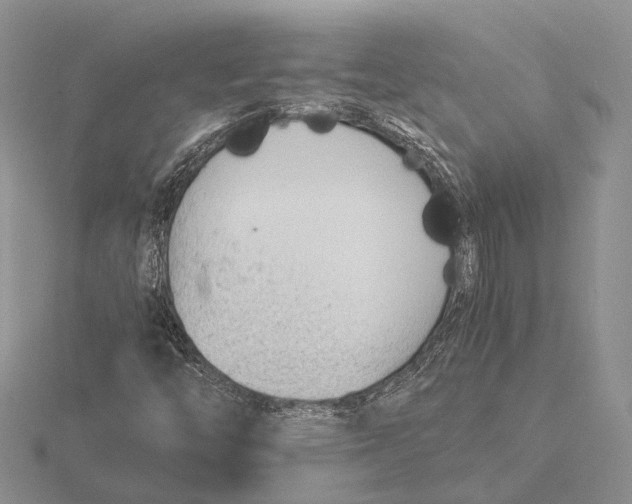 X0000115741446200912101304