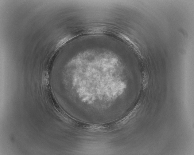 X0000115741449200912101304