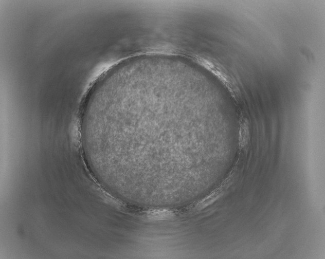 X0000115741454200912101304