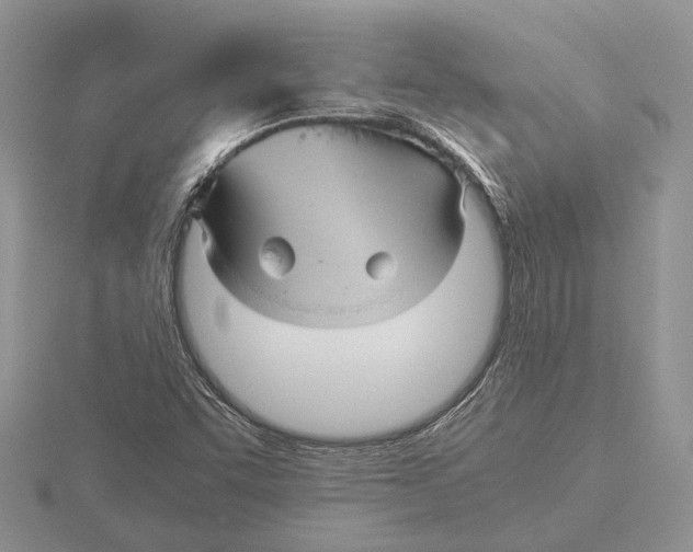 X0000115741455200912101304