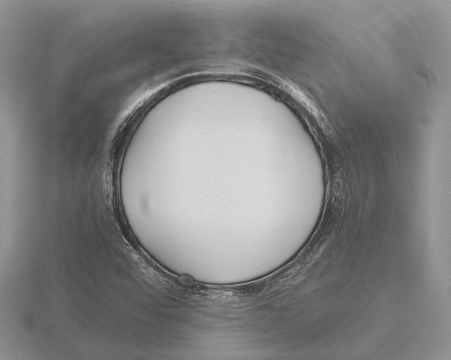 X0000115741456200912101304